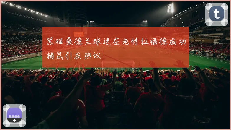 黑猫桑德兰球迷在老特拉福德成功捕鼠引发热议
