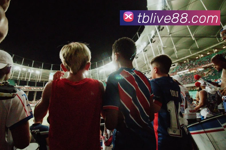 多媒体互动体验